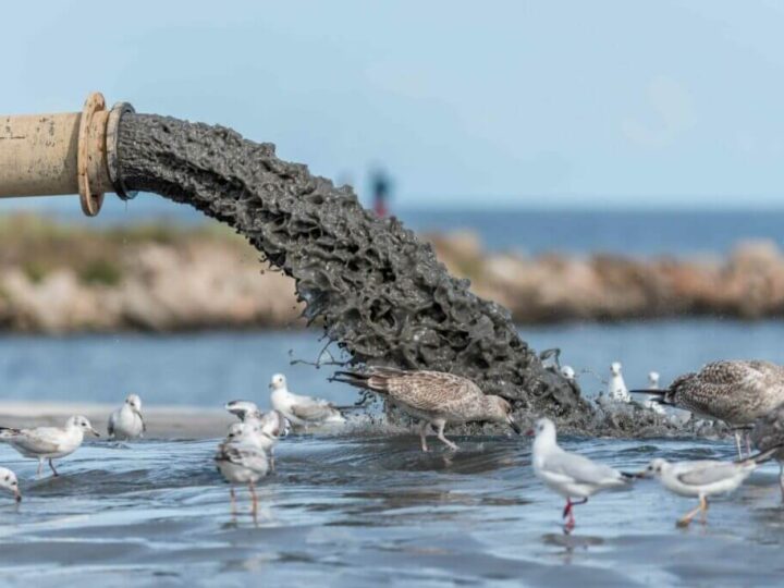 Io sono il mare