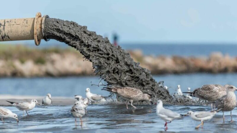 Io sono il mare